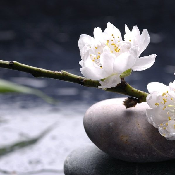 Stacked stones and white flower with petal on water drops